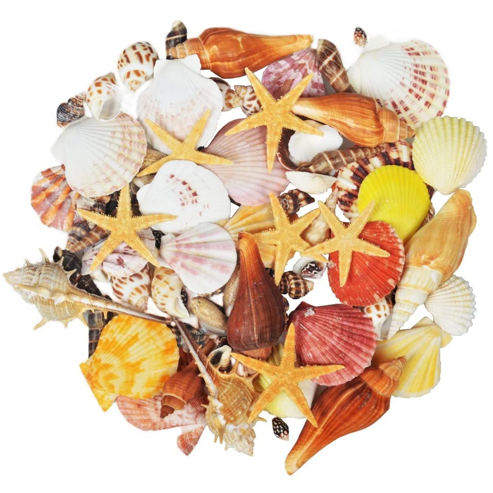 

100PCS Mixed Ocean Sea shells Wedding Decor Beach Theme Party, Seashells Home Decorations, Fish Tank,Candle Making