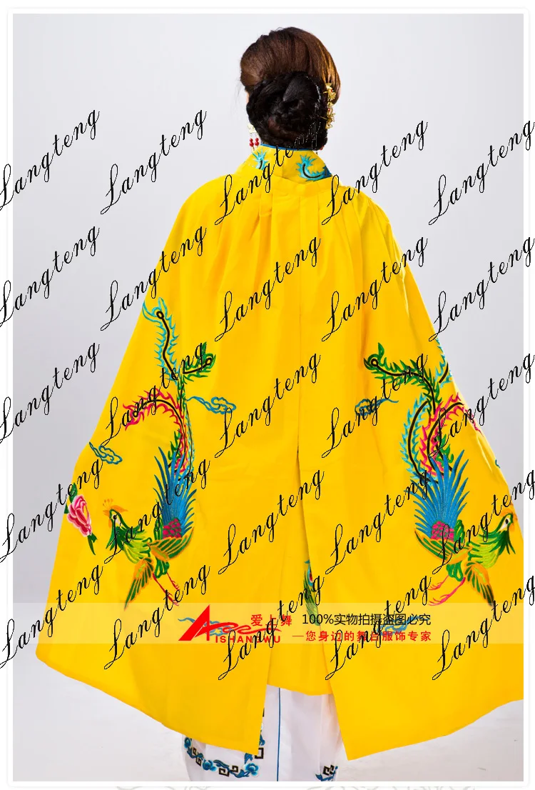 New Chinese Ancient Clothing Mantissas Costume Female Embroidered Cloak Performance Wear