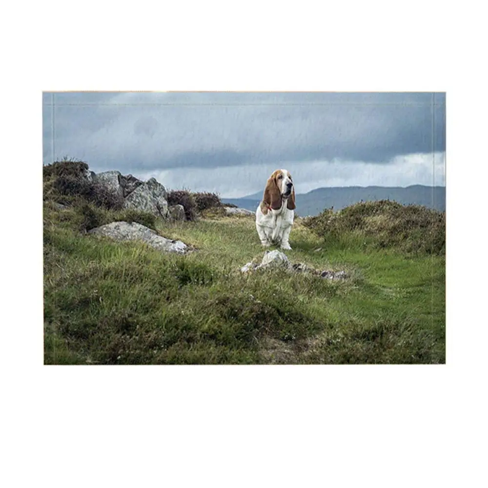 Декоративная собачка для ванной Basset Hound On Peak Green Grass And Rock Нескользящие напольные