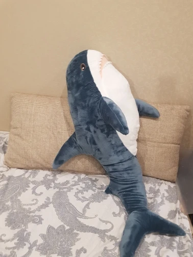 UTB8BsD9nn_IXKJkSalUq6yBzVXa8