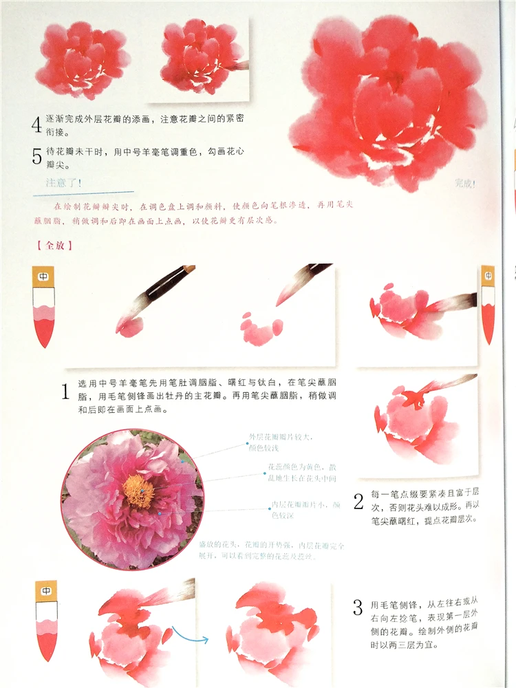 Chinese Brush Ink Art Painting Sumi E Self Study Technique Draw Flowers And Plants Book Flowers And Calligraphy Copybook Book Book Chinese Calligraphy Bookchinese Painting Book Aliexpress