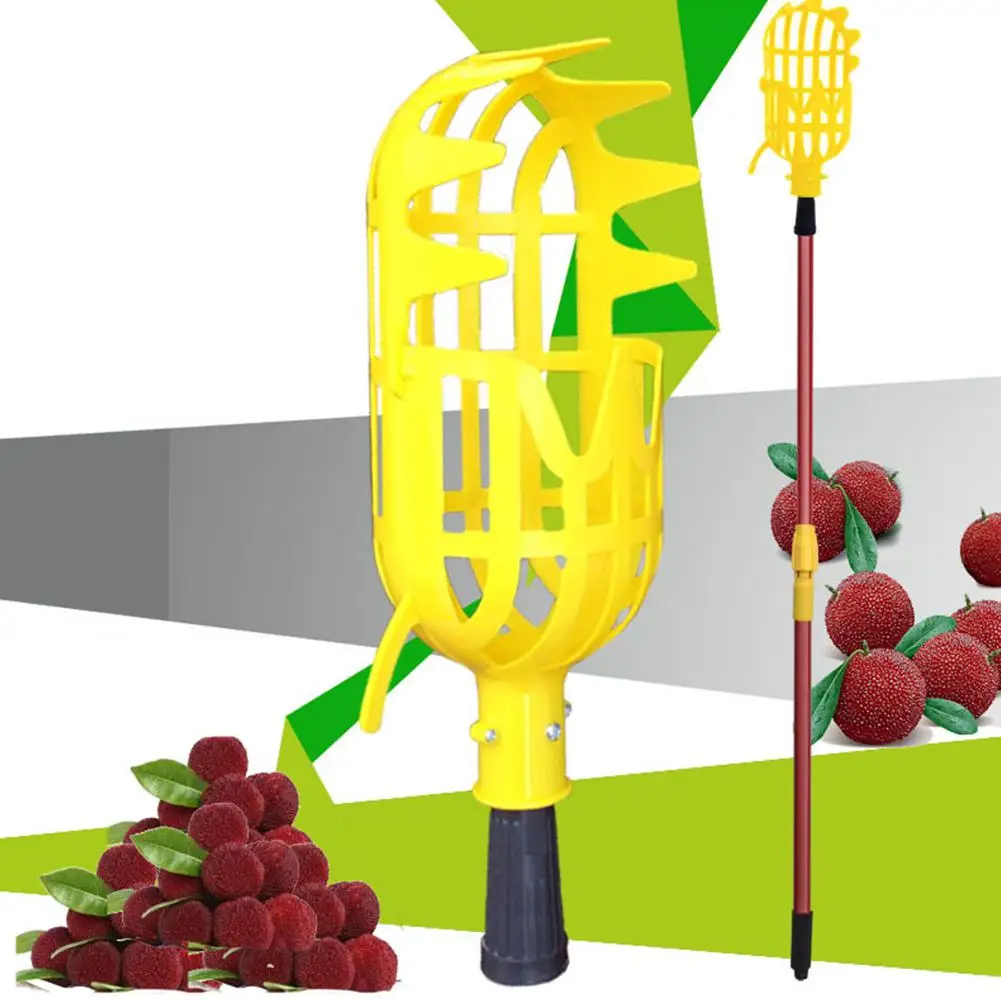 

None Large Size Fruit Picker without Pole Catcher Collector for Loquat Waxberry Peach Plum Winter Jujube Picking