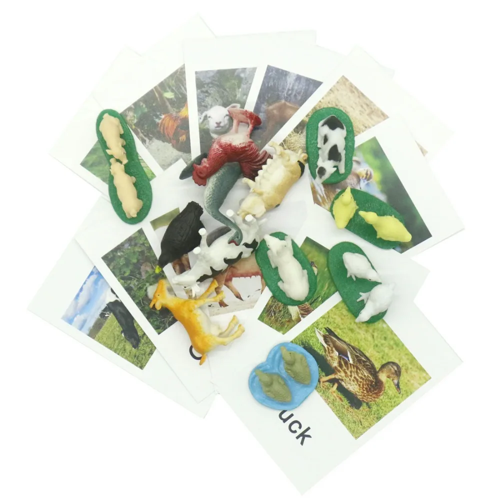 

Farm Animals Language Cards Montessori Learning Toys Preschool Educational Toys For Children Montessori Flash Cards MB2144H