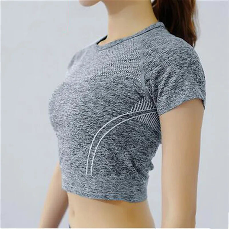 beer belly tee shirts