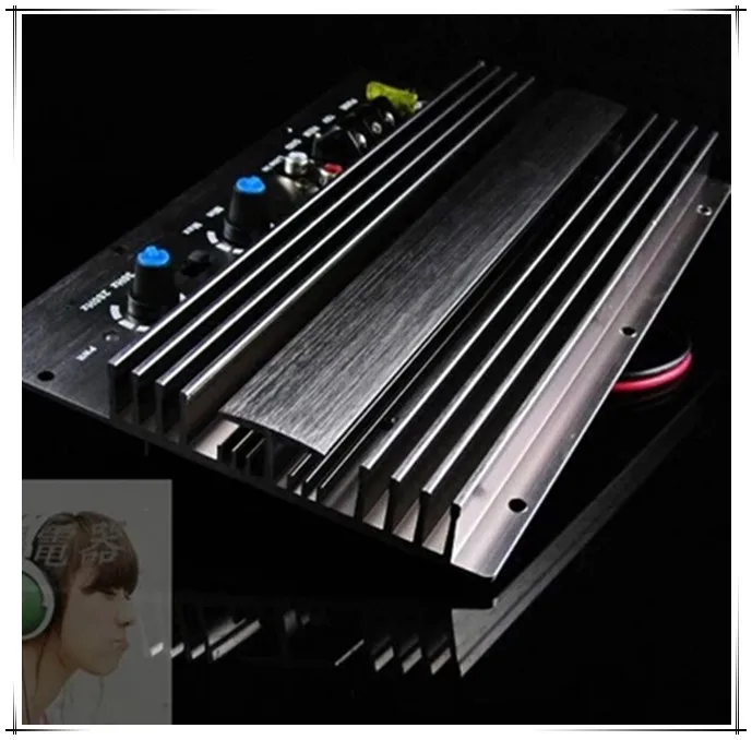 New rated 450W power car amplifier /12V active subwoofer amplifier board / push mono subwoofer