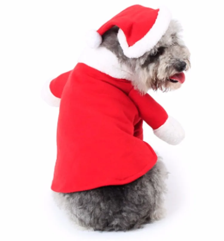 pet clothes 09