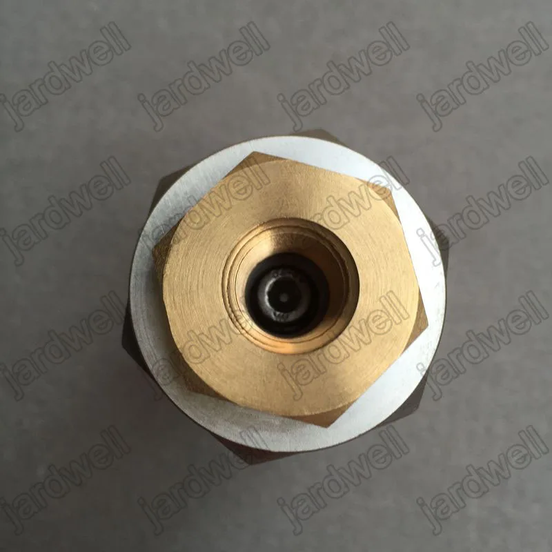 250030-276 Blow Down Vlv (4)