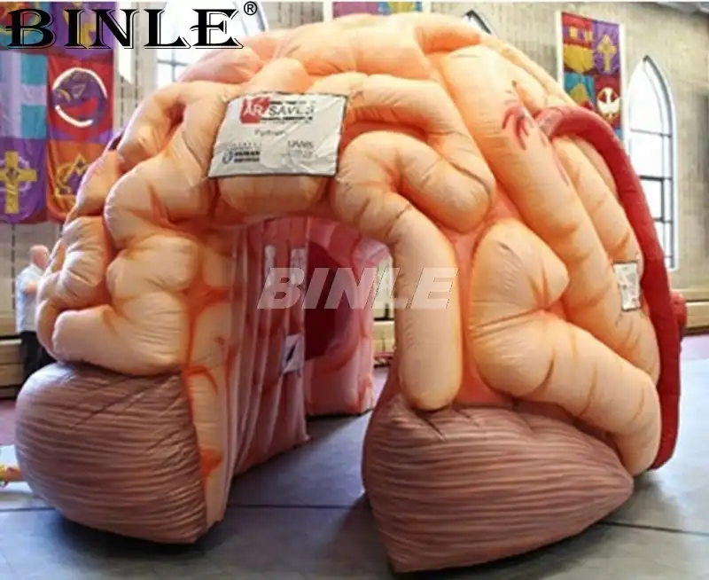 inflatable brain toy