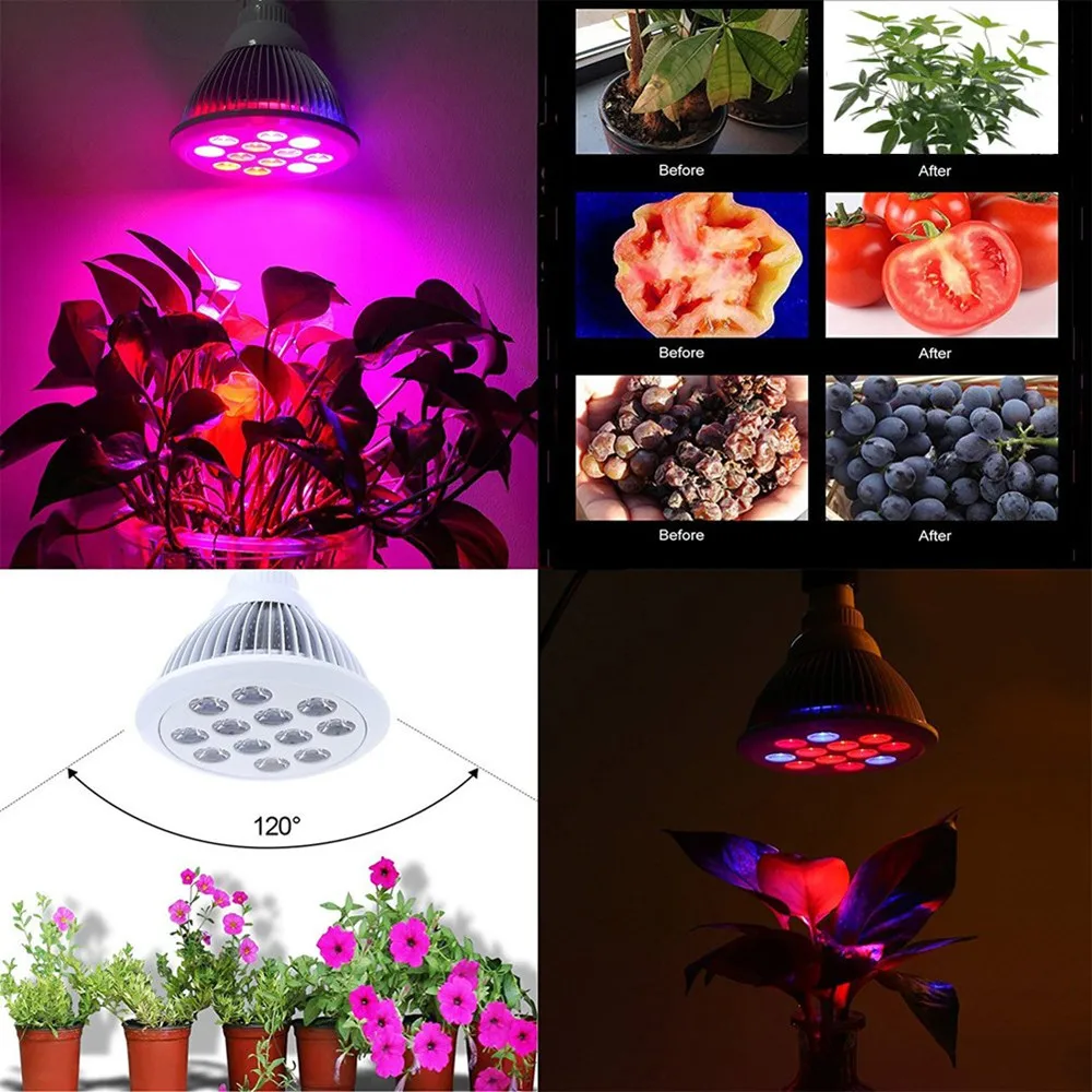 led grow light bulb  (5)