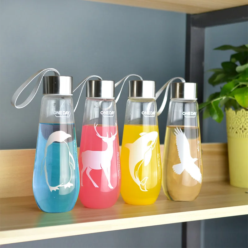 480ML Water Bottle With Bag Leak Proof Glass Water Bottle