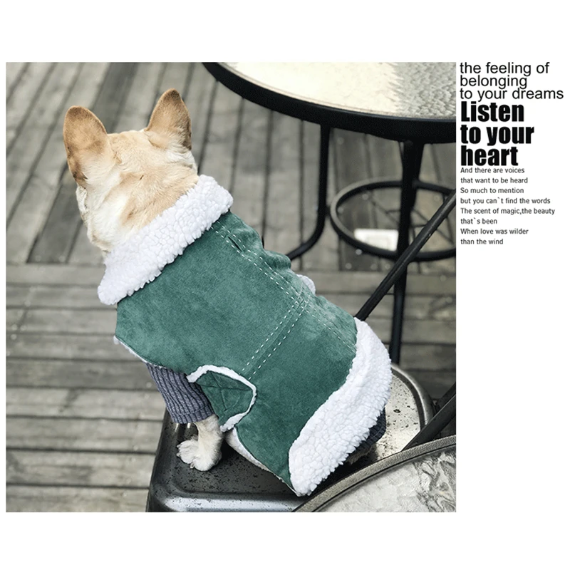 dog clothes coat winter (7)