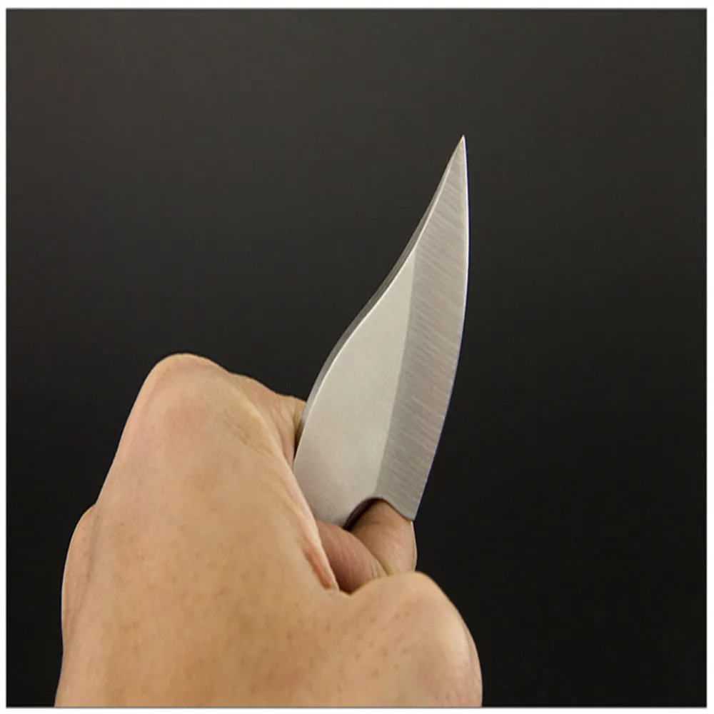 3893883629_1144261657