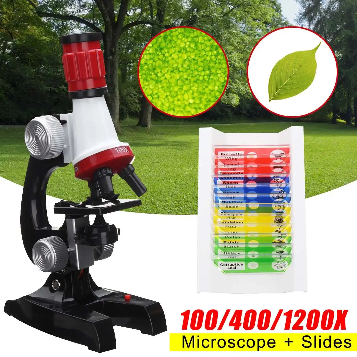 

Becornce Kids Toy Monocular 100X 400X 1200X Microscope+12xPrepared Microscope Slides Plant Animalia Specimen Biology Educational