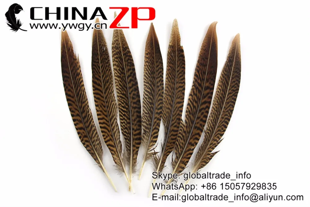 20-25cm Golden Pheasant Tail Feathers (2)