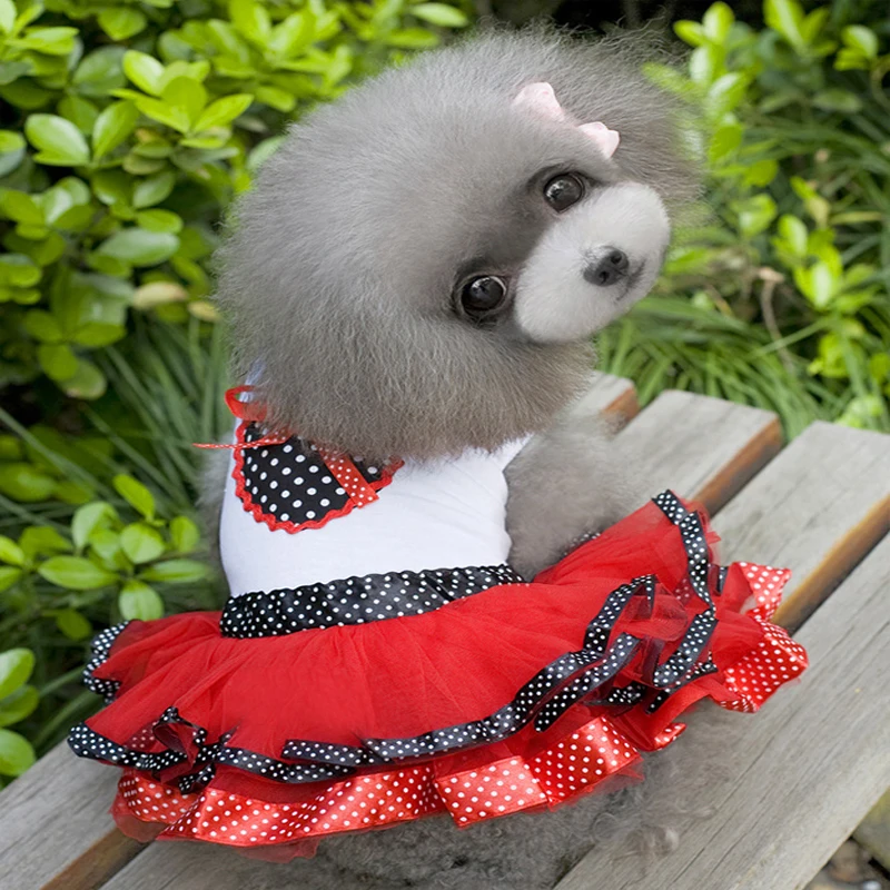 Pet Dog Clothes Sweetheart Princess Dress Love Lace Skirt Princess