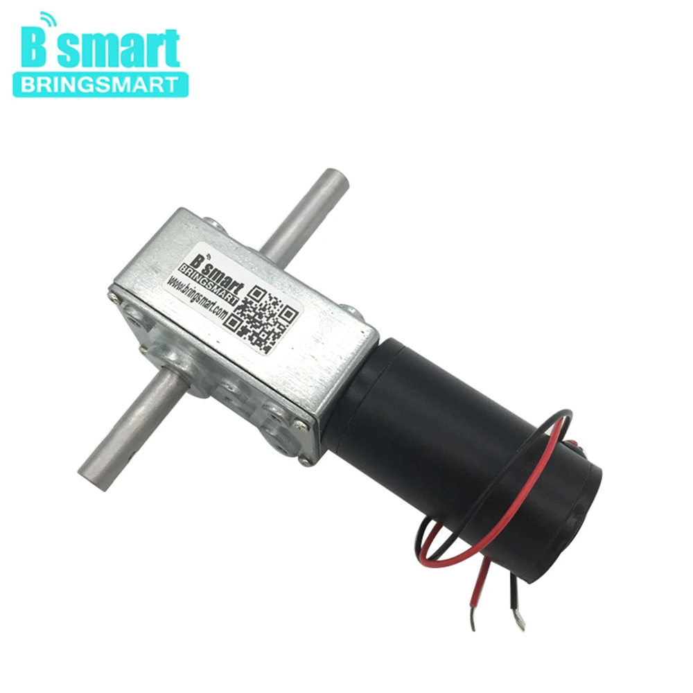 12Vdc 10rpm High torque DC Worm Gear motor with Double Shaft Gearbox Tsiny Motor 