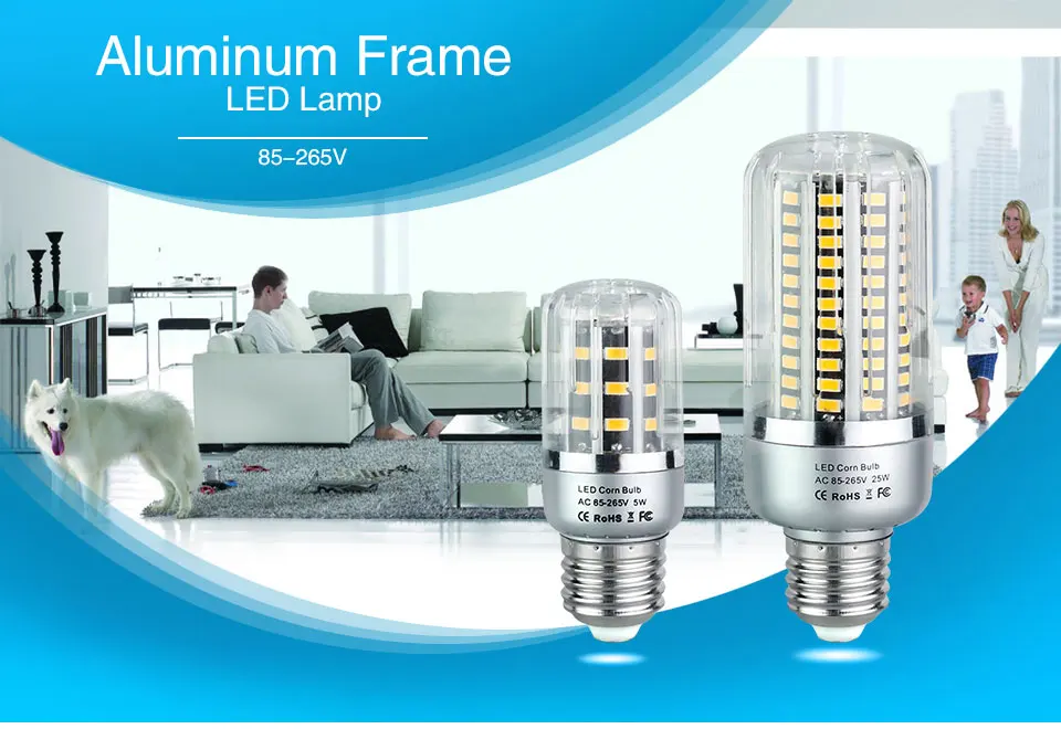 Ampoule led lamp bulb (1)