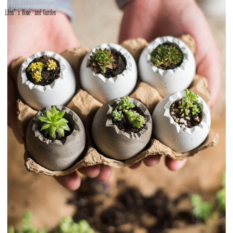 egg design mini decorative pots and planters