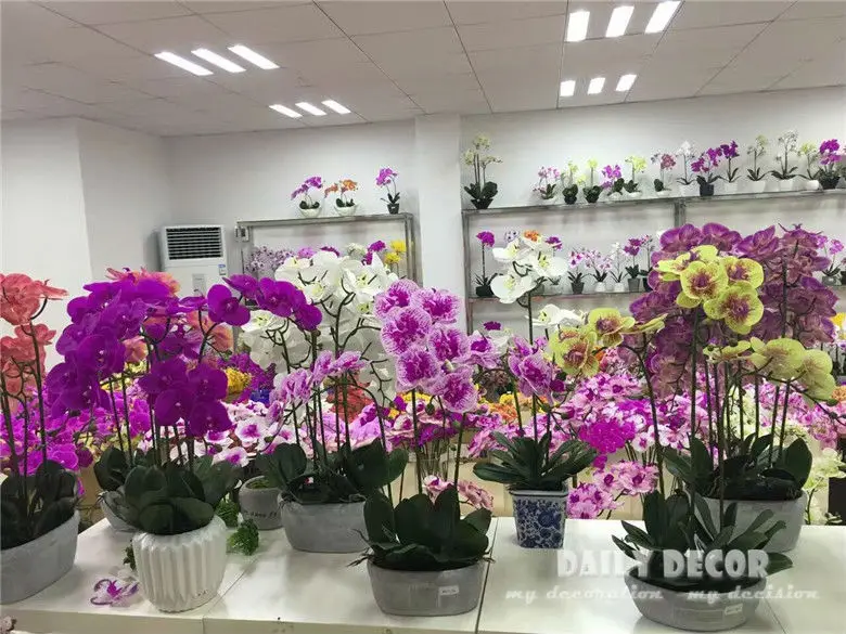 3445853298_356759457