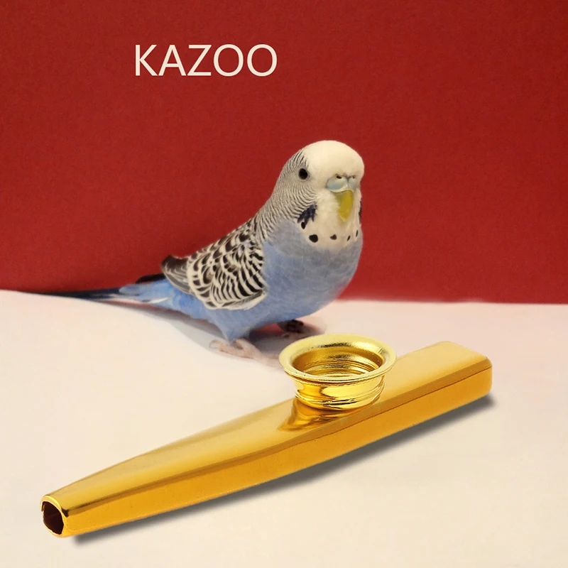 Простой дизайн легкий kazoo алюминиевый сплав металл для гитарного инструмента музыкальный инструмент для любителей музыки с коробкой