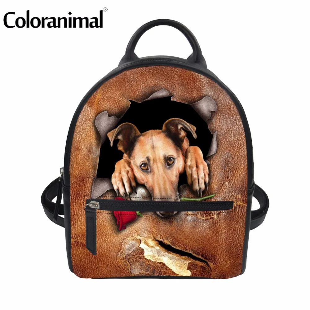Coloranimal Boston Terrier Pattern PU School Backpack Women Cute Animal