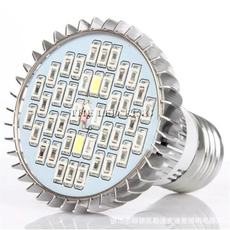 4039543743_246375580