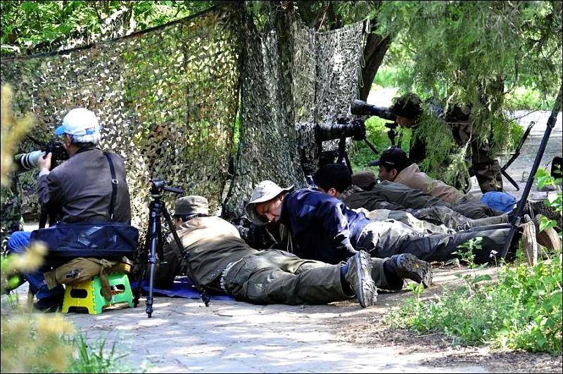

VILEAD 9 colors 8M*8M camouflage netting camo net for photographing animals shade jungle shade hide car covers hunting hide