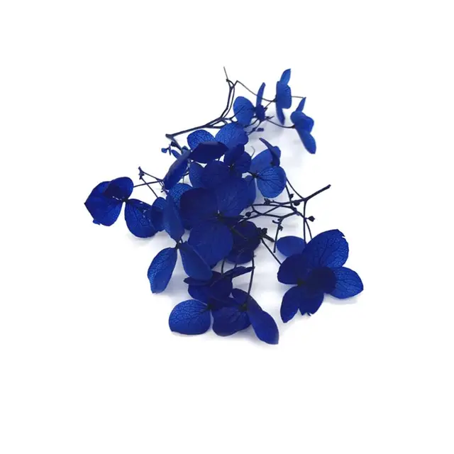 1 Box Dry Flower Diy Epoxy Resin Crafts Handmade Filling Materials Filler Dried Flowers Time Stone Jewelry Making Desk Decoratio Jewelry Findings Components Aliexpress