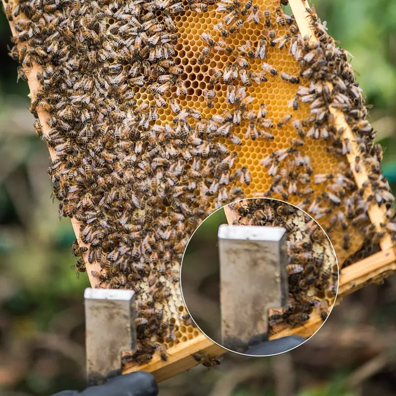 Промотирование открытия-1 набор инструмент для работы с ульями из нержавеющей стали, захват рамы и скребок пчеловодства, оборудование для пчеловодства