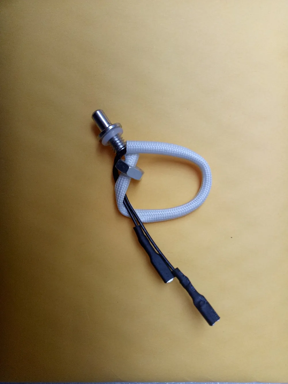 Free shipping/Gas water heater with temperature probe/temperature