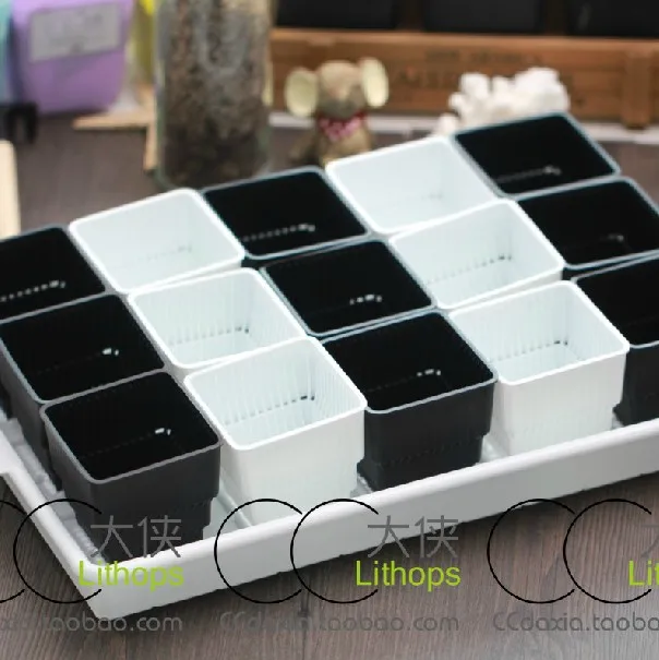 Plastic Nursery Pots 15 Square 1 Large Tray Box Fleshy Plastic Nursery Pots 15 Square 1 Large Tray Box Fleshy Succulents Breathable Root In From Home Garden On