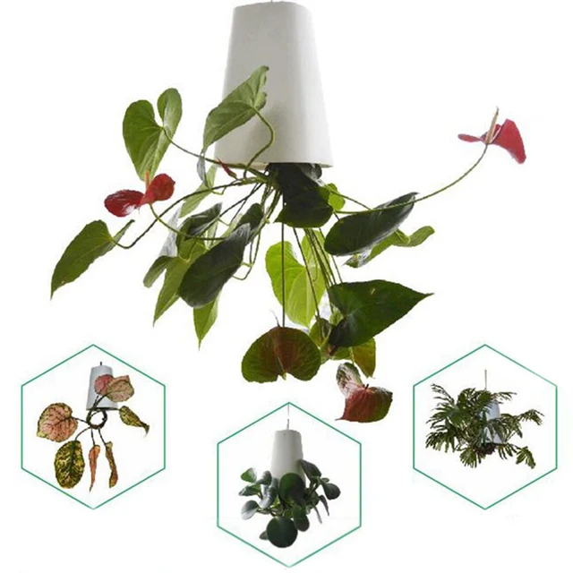1pcs Decorative Small Hanging Plastic Plant Pot Upside Down Flower 1pcs Decorative Small Hanging Plastic Plant Pot Upside Down Flower Pots Planters For Home Wall Indoor