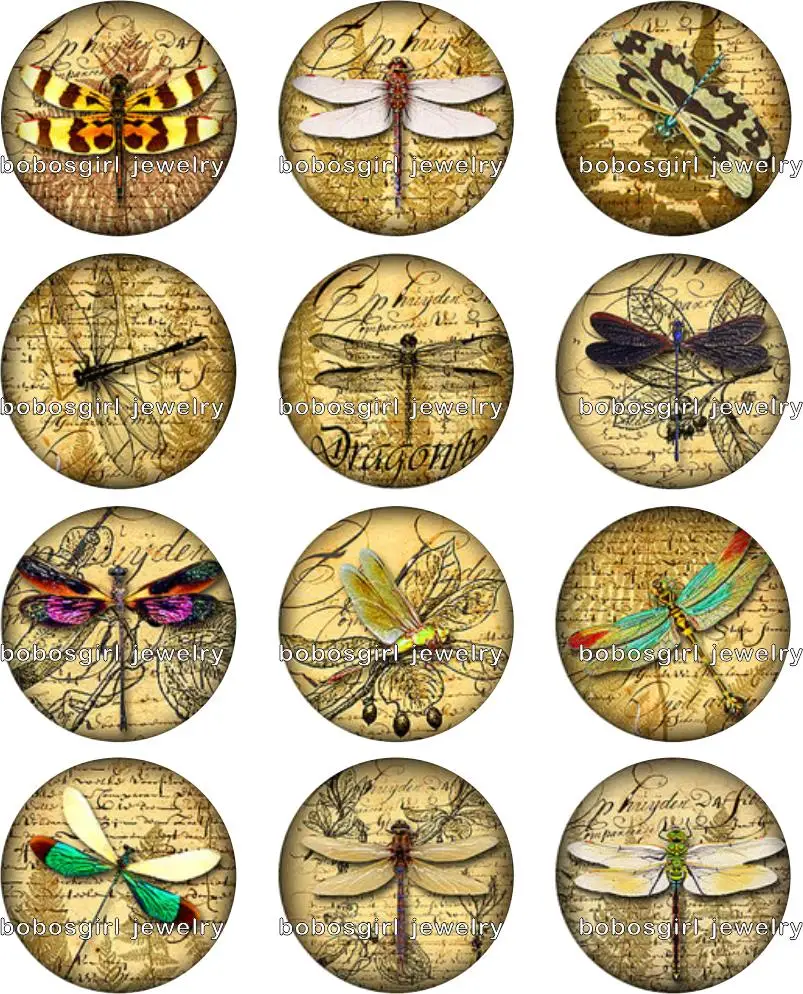 

dragonfly snap button Jewelry photo Round cabochon flat back Gl254