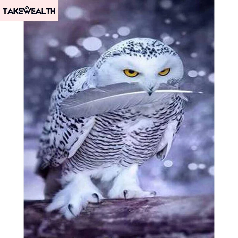 Diamond Painting White Feathers Owl Snow Animal Nature Diy 3d