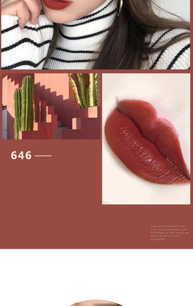 Brand HOLDLIVE 5Pcs Velvet Matte Lipstick Set (13)
