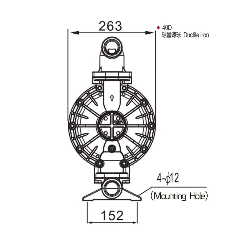 logo BML40D (4)