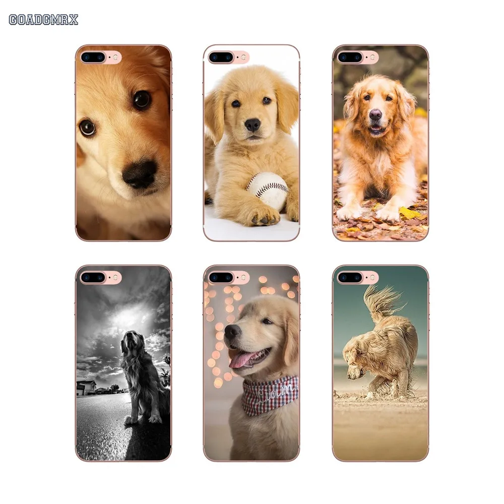

For Huawei P Smart P8 P9 P10 Lite Y6 Y7 Y9 Prime Y6 Pro 2017 2018 2019 Transparent TPU Case Covers Golden Retriever Lovely Puppy