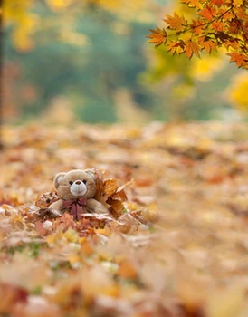 

Vinyl Photography Backdrops autumn leaves bear Photo Background Computer printed Children Backdrops for Photography Studio
