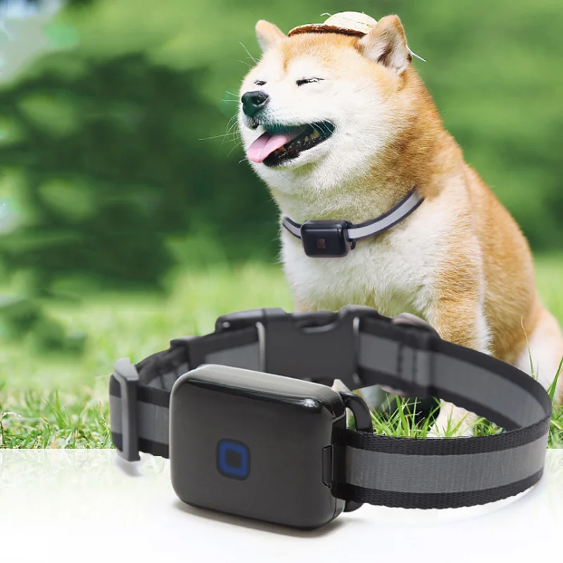 

Pet GPS Locator Waterproof Anti-lost Real-time Tracking Postioning Collar for Dog Cats MYDING
