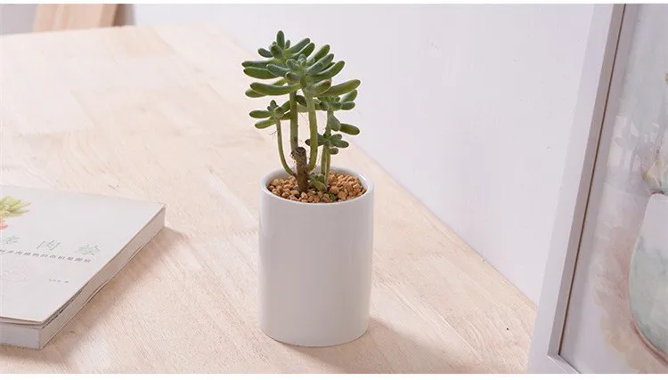 Cylinder shape Flower Pot4
