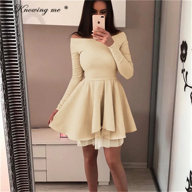 

Knowing me 2XL Ladies Casual A-Line Princess Dress 2019 Spring Long Sleeve Mesh Splicing Dress women O-neck Party Mini Dresses