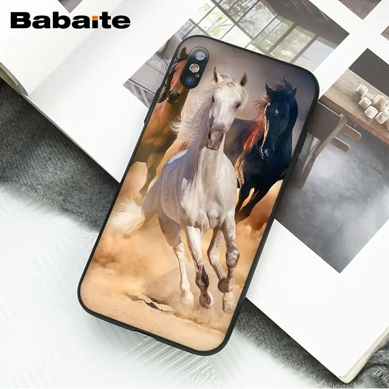 Horse Animal