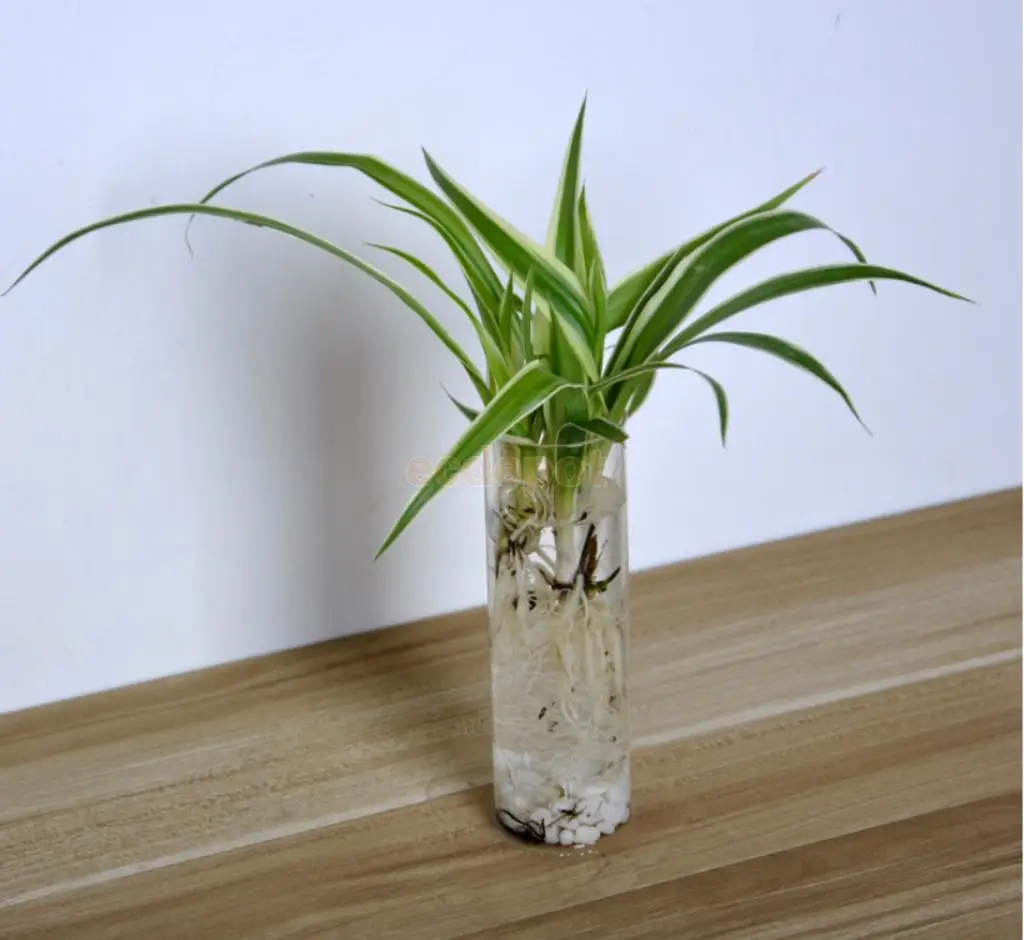 3 штуки цилиндрическая настенная стеклянная ваза растения цветы гидропонная бутылка аквариум домашний декор 15 см