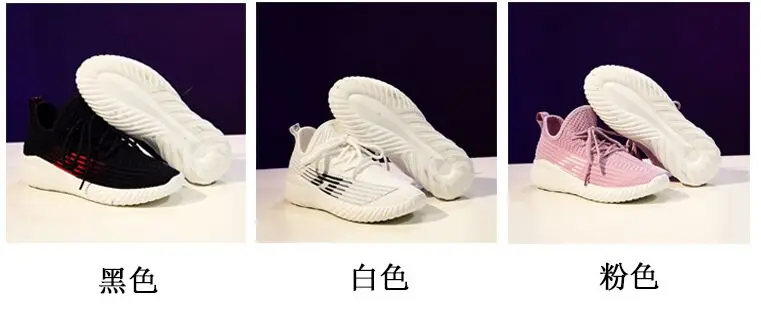 QQ图片20190513100649