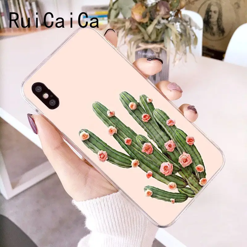 Candy Color Art Cactus Plant