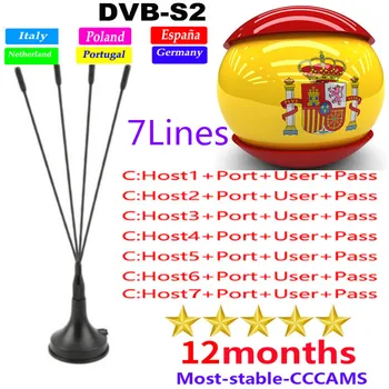 

Europe HD cable 1 Year CCcam for Satellite tv Receiver 7 Clines WIFI FULL HD DVB-S2 Support Spain Polish Germany cline Server
