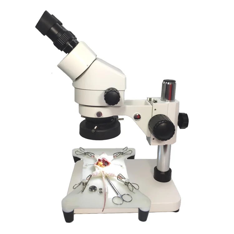 

Microsurgery training simulator of neurosurgery, Microscope,instruments and Multifunctional operation bed for animal