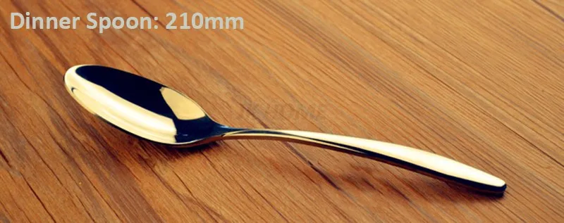 006 Dinner Spoon
