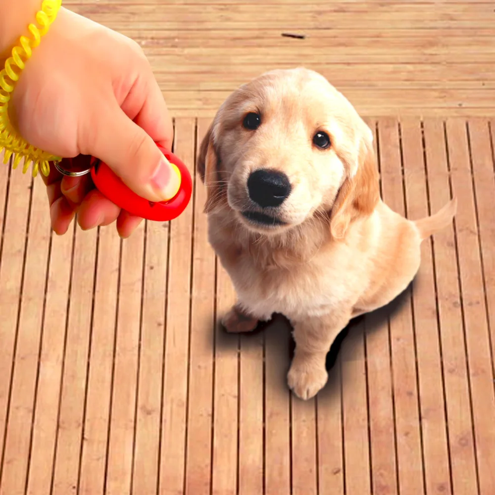 

Dog Pet Click Clicker Training Obedience Agility Trainer Aid Wrist Strap Drop Shipping