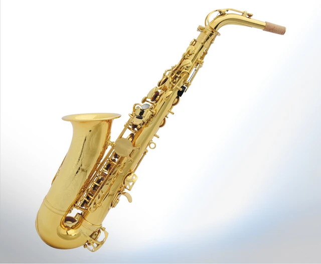 Cheap 2016 High quality Sachs alto E electrophoresis paint process the saxophone with case and accessory